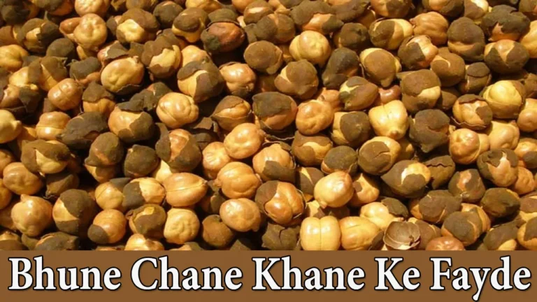 Bhune Chane Khane Ke Fayde | Roasted Chana Benefits in Hindi
